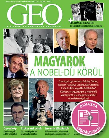Glamour