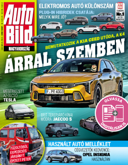 Auto Bild termék képe
