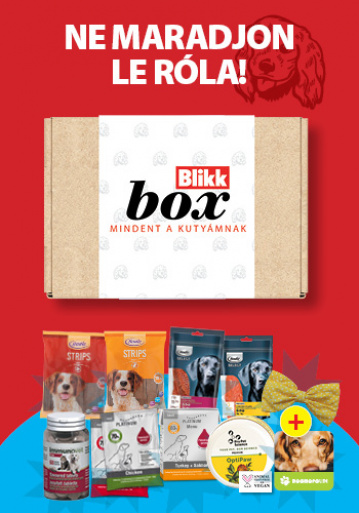 BLIKK Mindent a kutyádnak BOX BLIKK Mindent a kutyádnak BOX