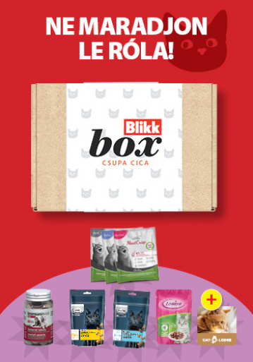 Blikk Csupa cica Box Blikk Csupa cica Box